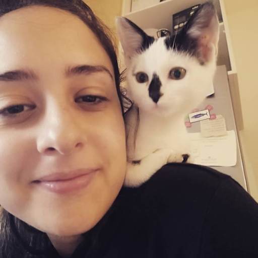 Profile image for pet sitter sofia