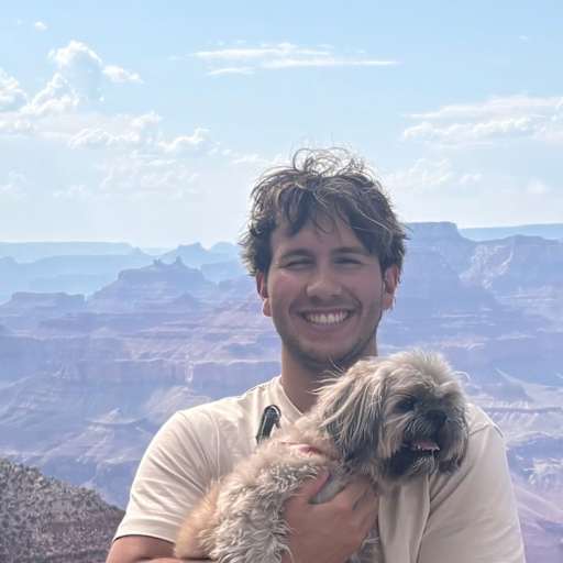 Profile image for pet sitter Grey