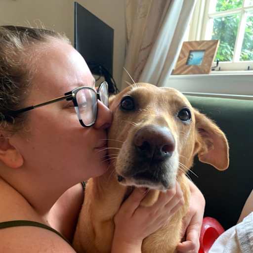 Profile image for pet sitters Amy & Kit