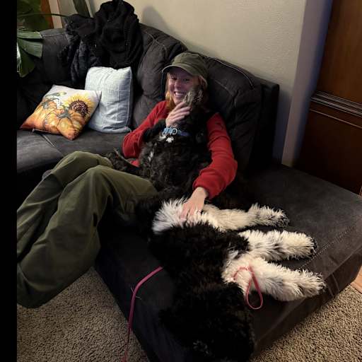 Profile image for pet sitter Drew