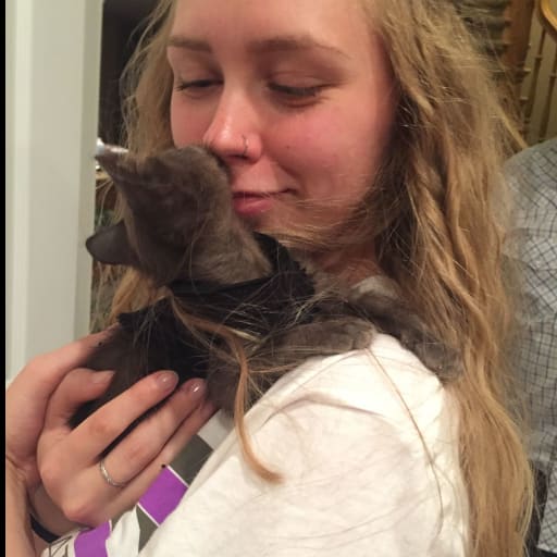 Profile image for pet sitter Katie