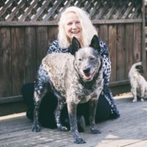 Profile image for pet sitter Elaine