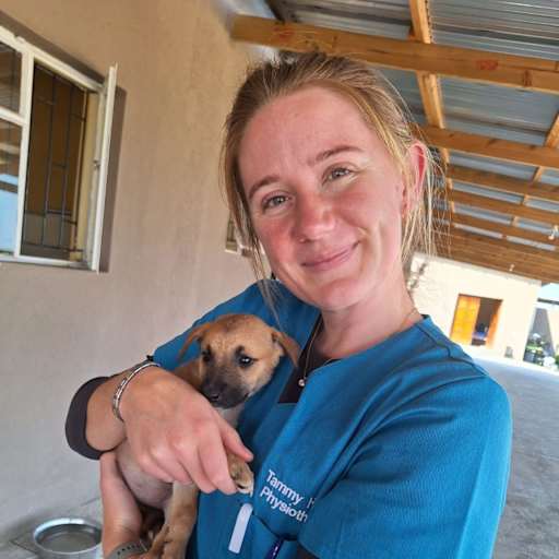 Profile image for pet sitter Tammy