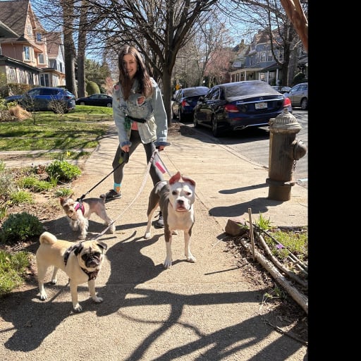 Profile image for pet sitters Diana & Ulises