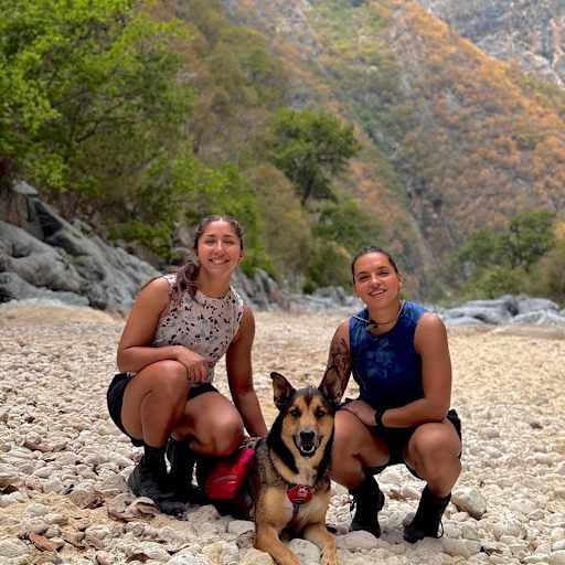 Profile image for pet sitters LAURA & Denise