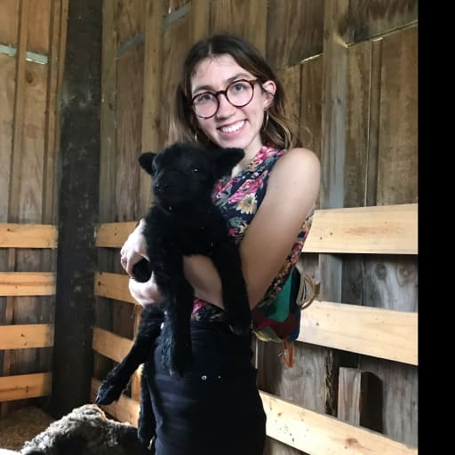 Profile image for pet sitters Julia & Monica