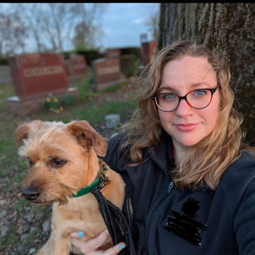 Profile image for pet sitter Abigail