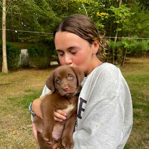 Profile image for pet sitter Jenna