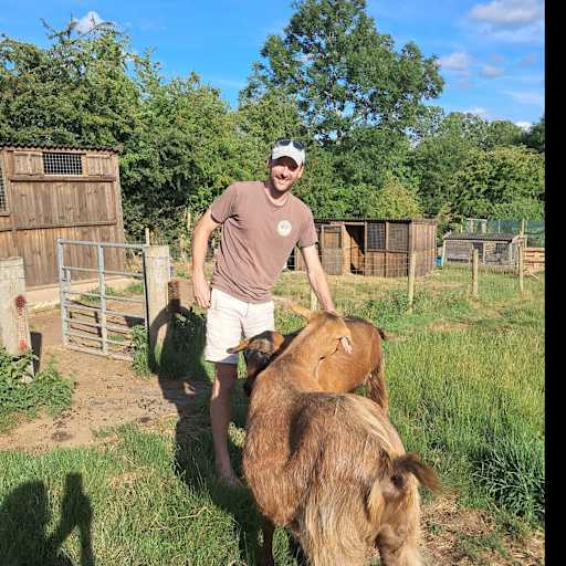 Profile image for pet sitter Matthew