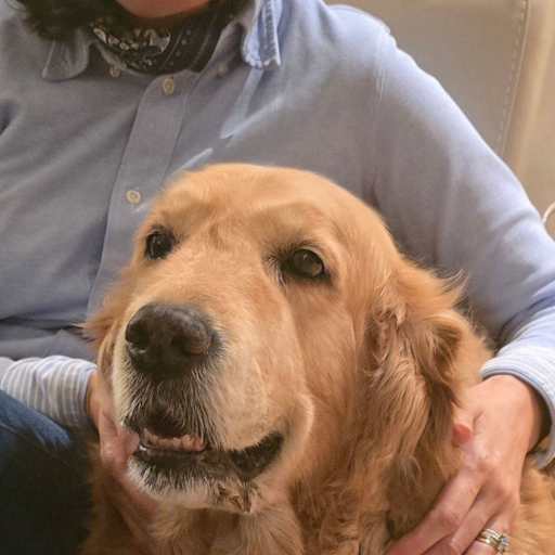 Profile image for pet sitters Dana & Bruno