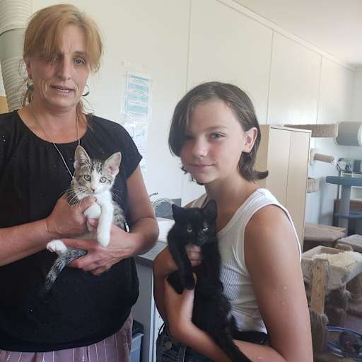 Profile image for pet sitter Jolene