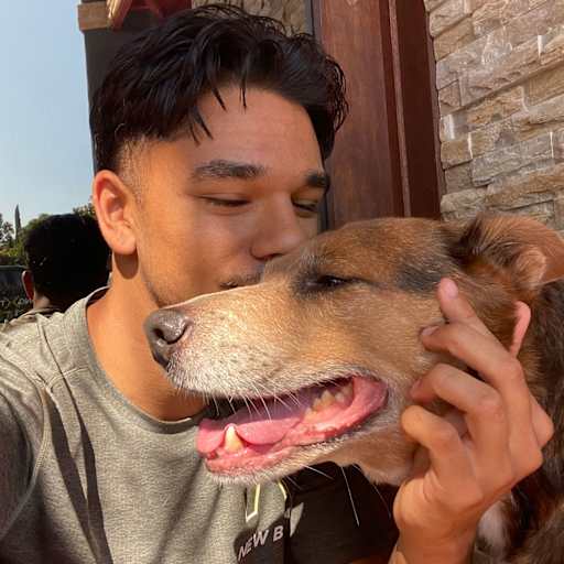 Profile image for pet sitter Darryan