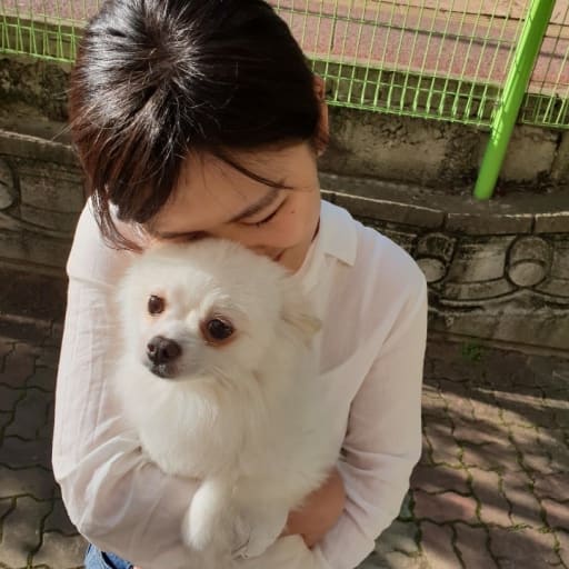 Profile image for pet sitter Jihye