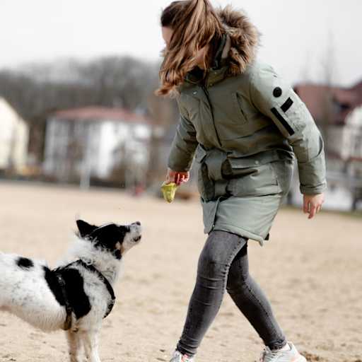 Profile image for pet sitter Natalie