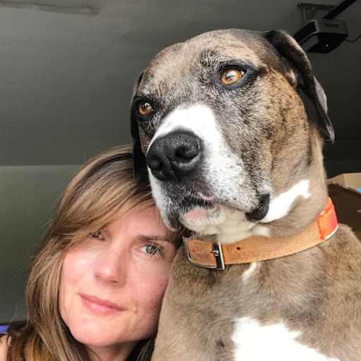 Profile image for pet sitter Jamie