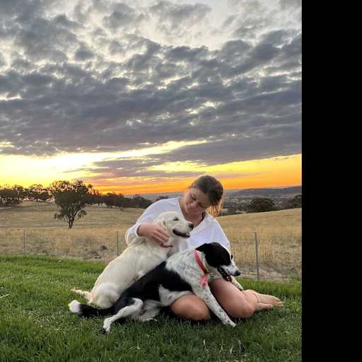 Profile image for pet sitter grace