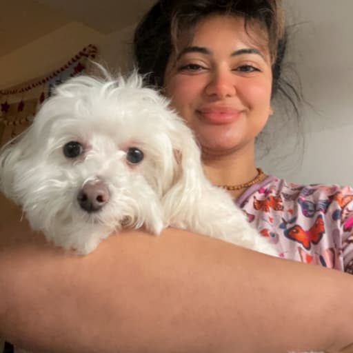 Profile image for pet sitter Gin