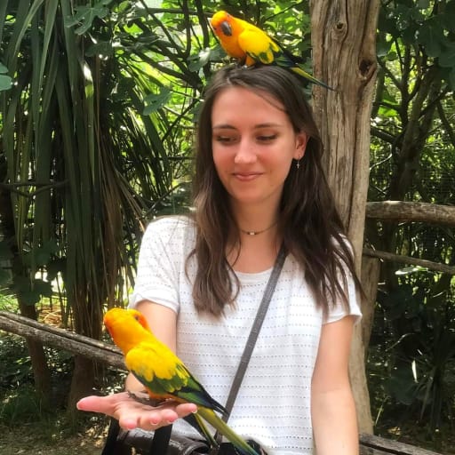 Profile image for pet sitter Morgane
