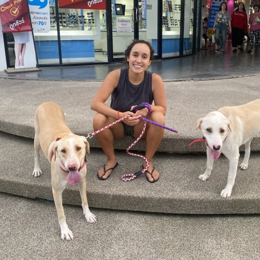 Profile image for pet sitter Daniela