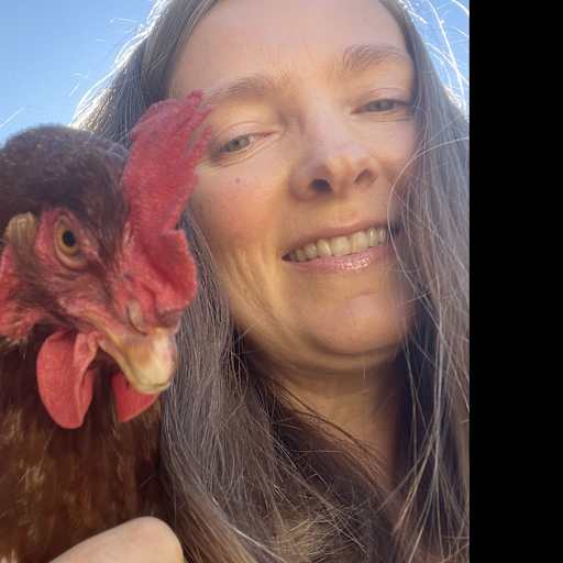 Profile image for pet sitter Rachel