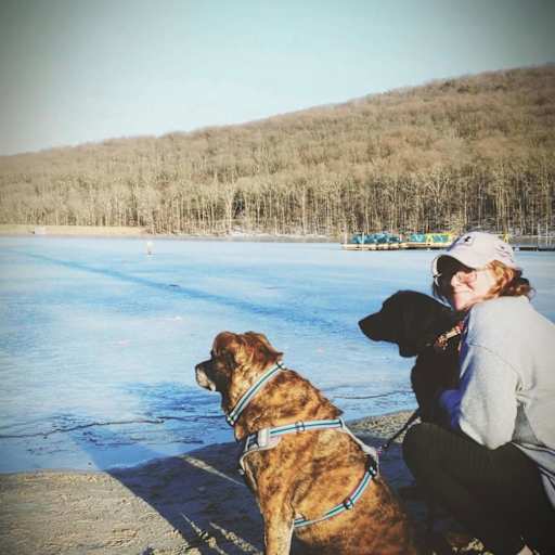 Profile image for pet sitter Allyson