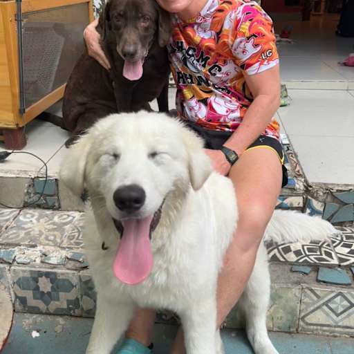 Profile image for pet sitter laura