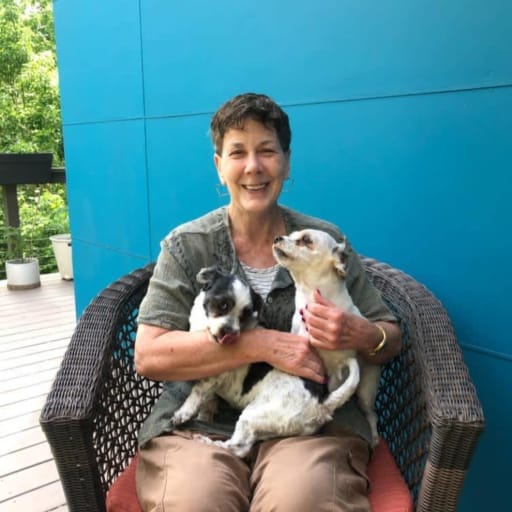 Profile image for pet sitter Linda