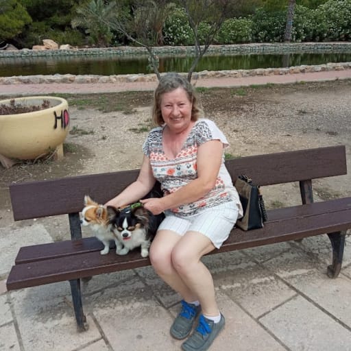 Profile image for pet sitter Melanie Dawn