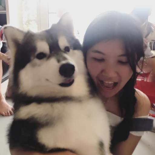 Profile image for pet sitters kai wei & Zhi Zhong