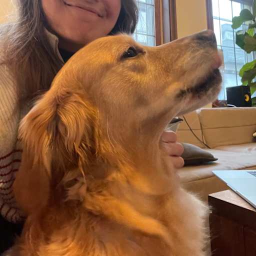 Profile image for pet sitter Vicky