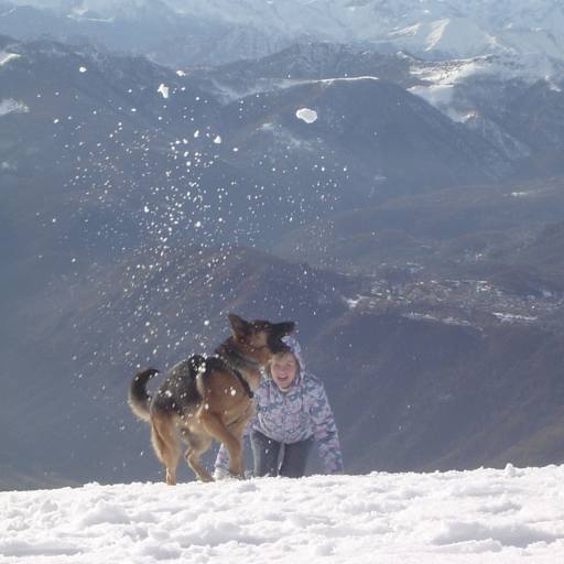 Profile image for pet sitter Olesya