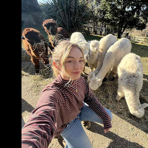 Profile image for pet sitter Jess