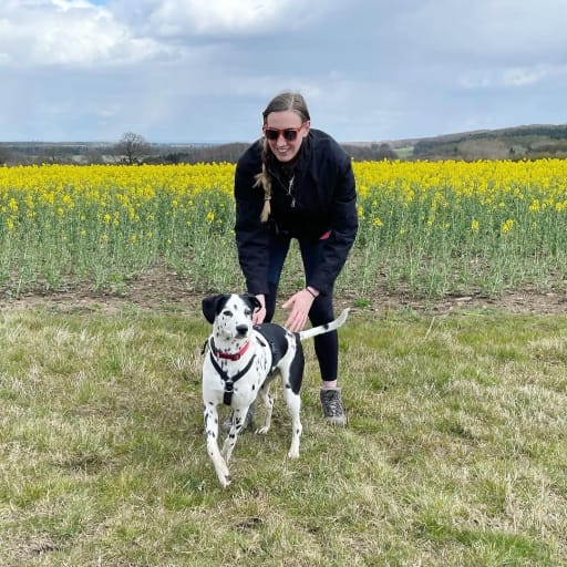 Profile image for pet sitter Aimee