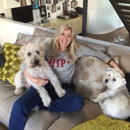 Profile image for pet sitter Gwenda