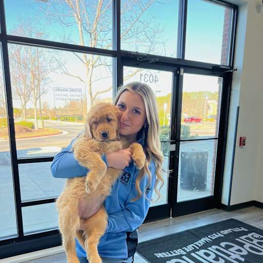 Profile image for pet sitter Dahlia