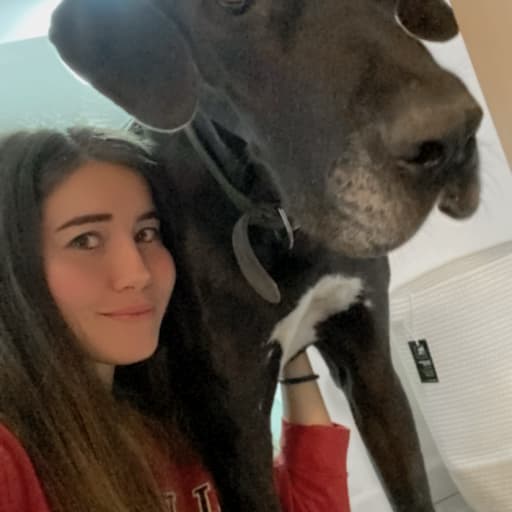 Profile image for pet sitters Camila & Gerardo