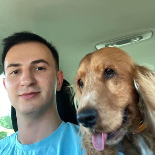 Profile image for pet sitter Razvan