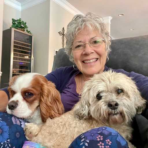 Profile image for pet sitter Kim