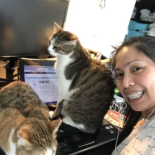 Profile image for pet sitter Perril