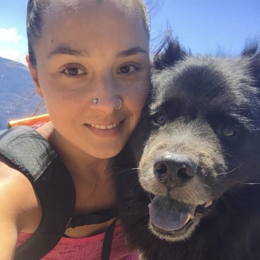 Profile image for pet sitter Aleenah