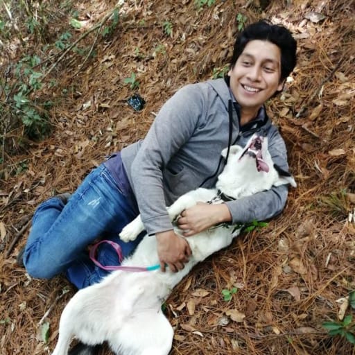 Profile image for pet sitter Emmanuel