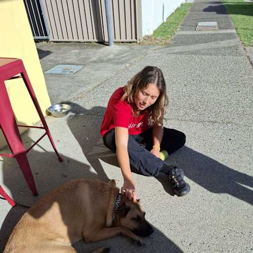 Profile image for pet sitters Jente & Janne