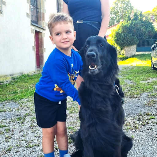 Profile image for pet sitters Giulian & Thayana