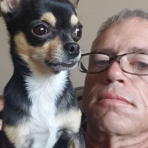 Profile image for pet sitter Andrew paul