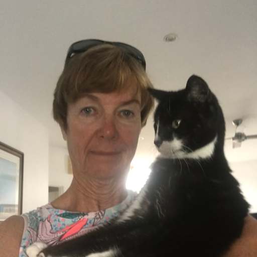 Profile image for pet sitters Amanda & Ian