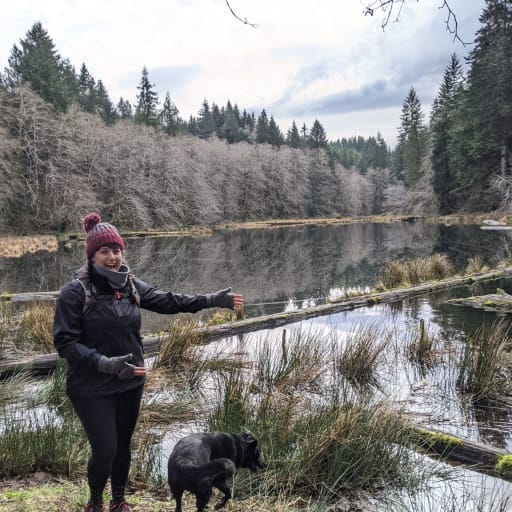Profile image for pet sitter Sarah