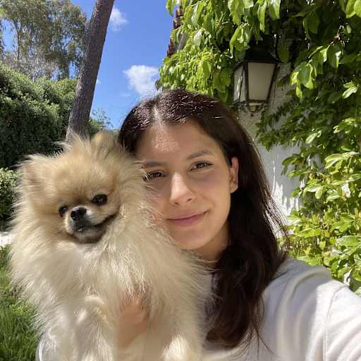 Profile image for pet sitter Lavinia