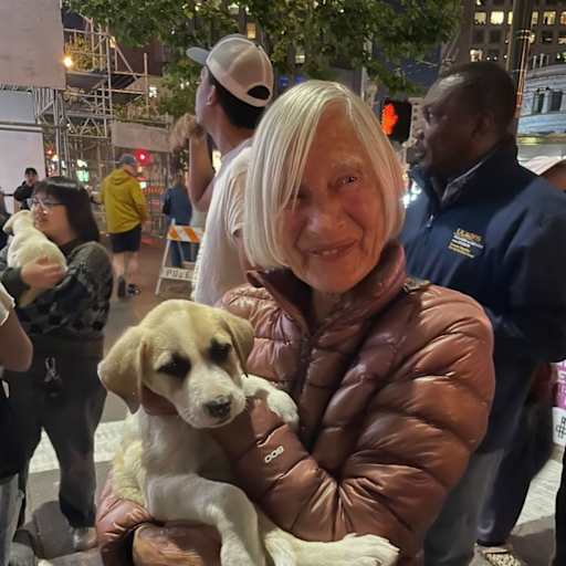 Profile image for pet sitter Eileen