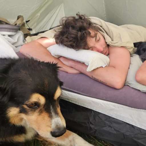 Profile image for pet sitters Julia & Jacob