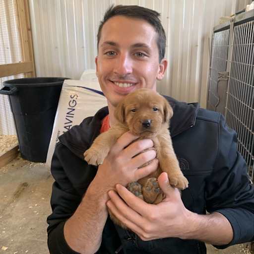 Profile image for pet sitter Kevin